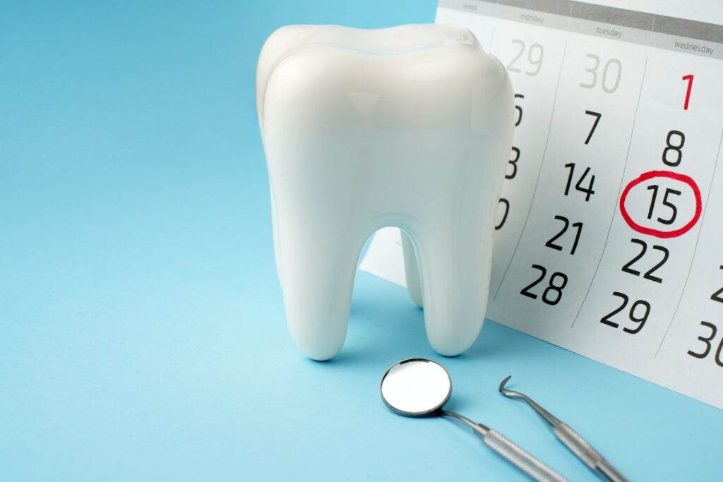A model of a tooth next to a calendar